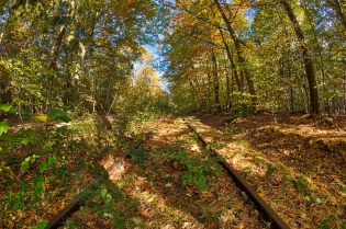 Bruchköbel
