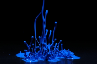 Color in Motion - Blue