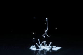 Color in Motion - White