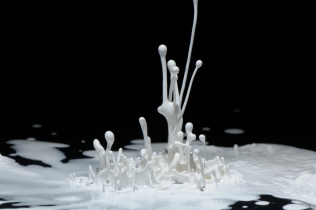 Color in Motion - White
