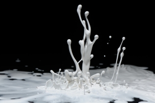 Color in Motion - White