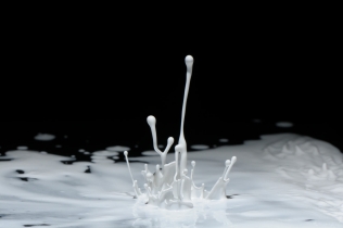 Color in Motion - White