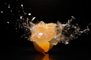 Eier / Eggs