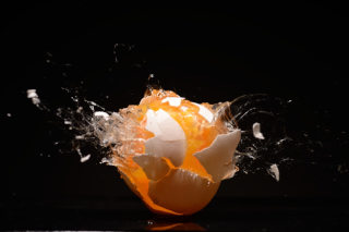 Eier / Eggs