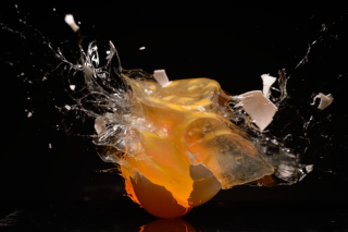Eier / Eggs
