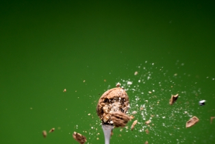 Walnusse / Walnuts
