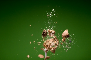 Walnusse / Walnuts