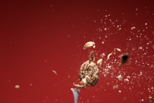 Walnusse / Walnuts