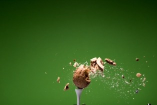 Walnusse / Walnuts