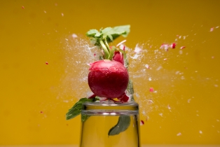 Radieschen / Radish