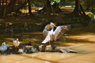 Wildlife Park