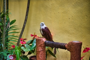 Wildlife Park