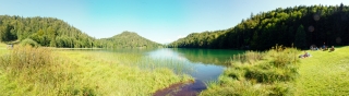 Alatsee