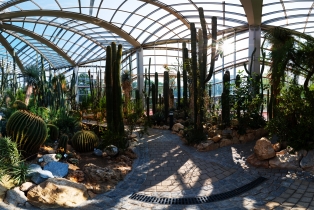 Palmengarten